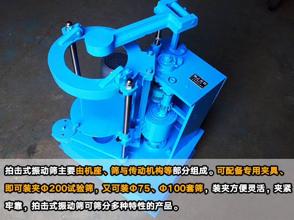 拍擊式麻豆免费版免费下载