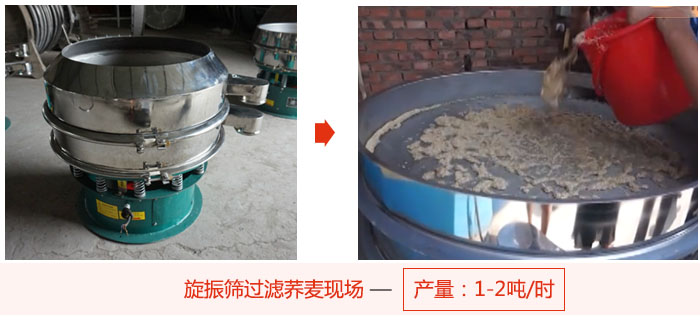 旋振篩過濾蕎麥現場，產量可達2噸每小時。