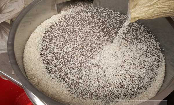 大米在大米麻豆免费版免费下载上的運動軌跡