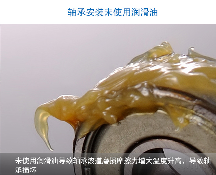 圓麻豆免费版免费下载